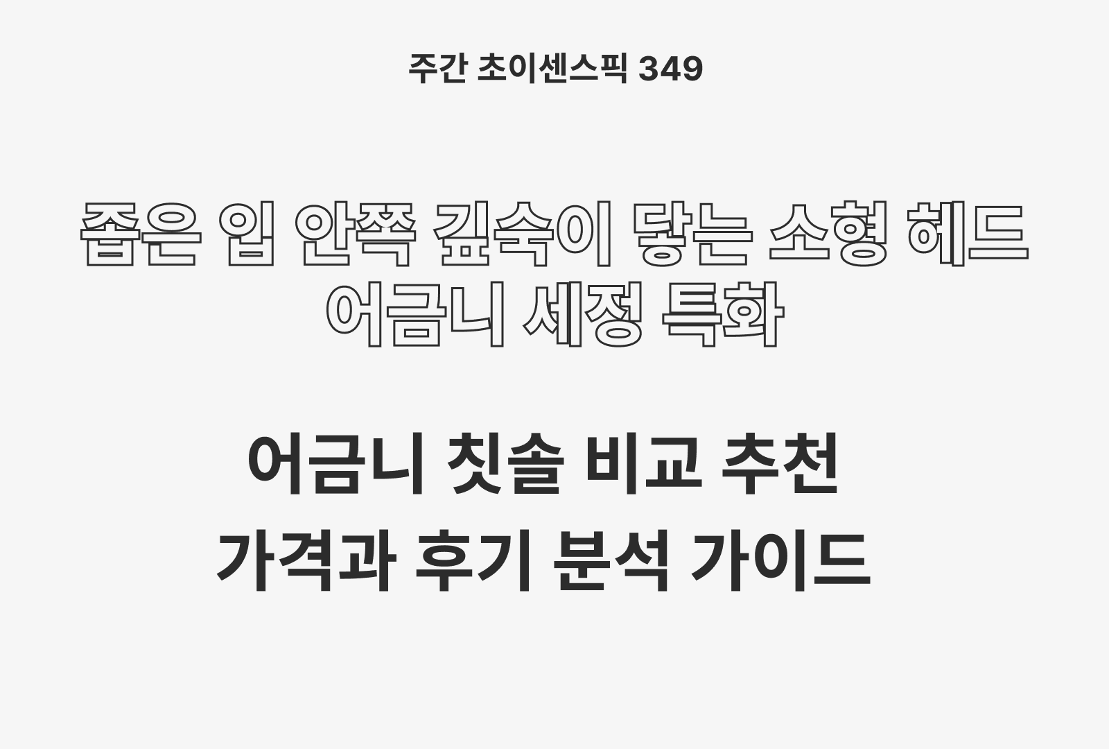 어금니 칫솔 추천 TOP (하이브코리아, 탐사, 닥터스, 구구케어)