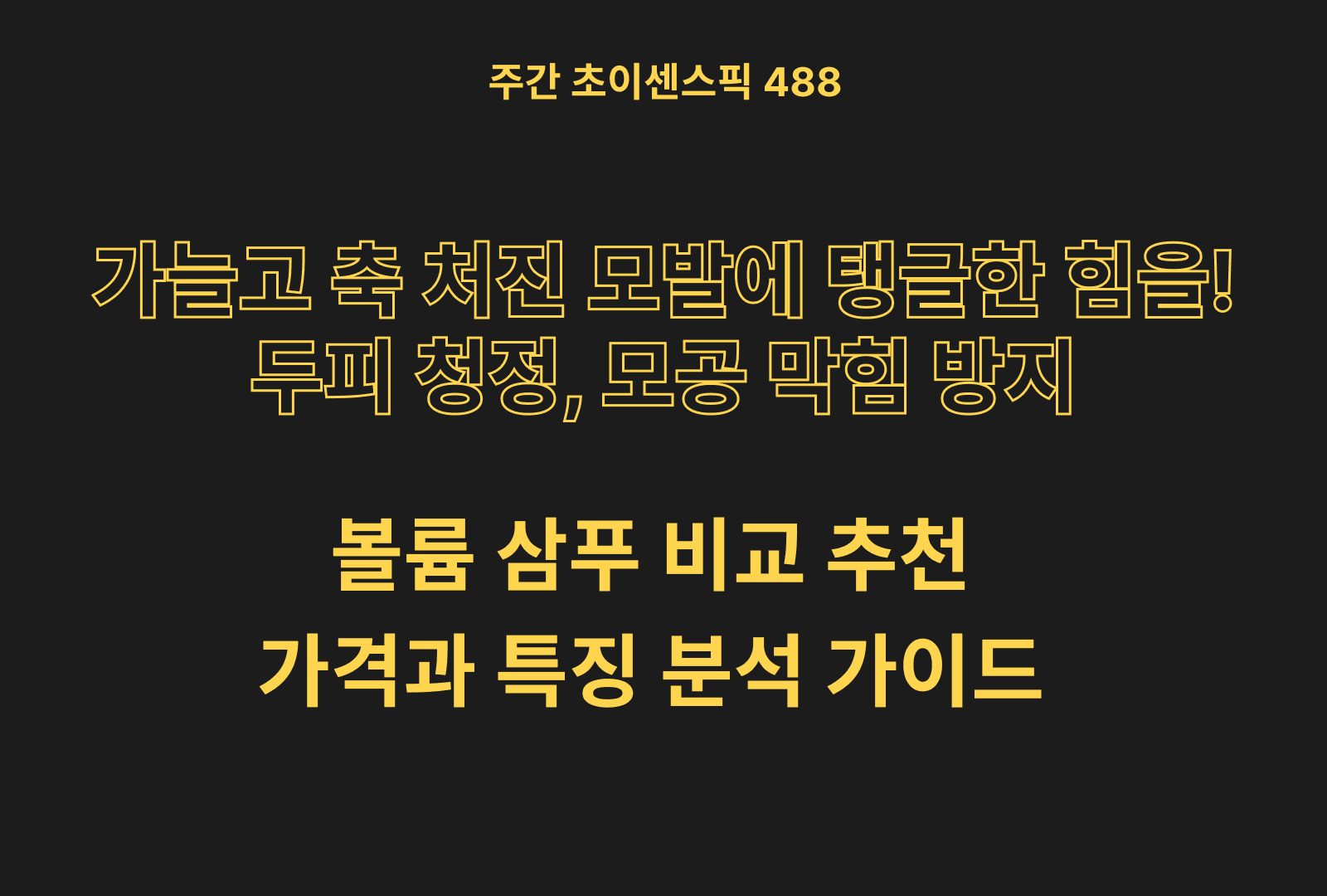 볼륨샴푸 추천 및 브랜드 비교 5종 (엘라스틴, 쿤달, 려 흑운, 츠바키, 베리웰)