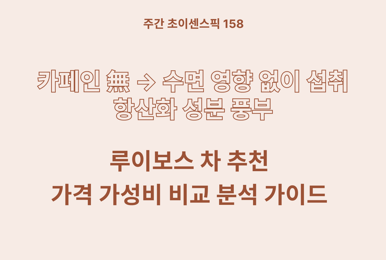 루이보스 추천 TOP 5 (솔직한 후기와 상품별 가성비 비교까지)